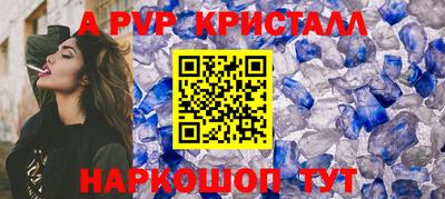 ешки Кингисепп