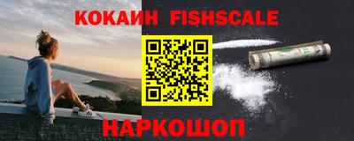 ешки Кингисепп