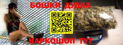 ешки Кингисепп