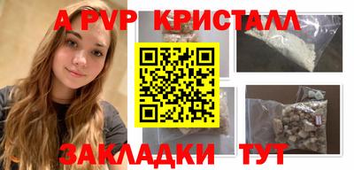 ешки Кингисепп
