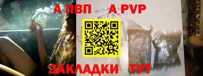 ешки Кингисепп
