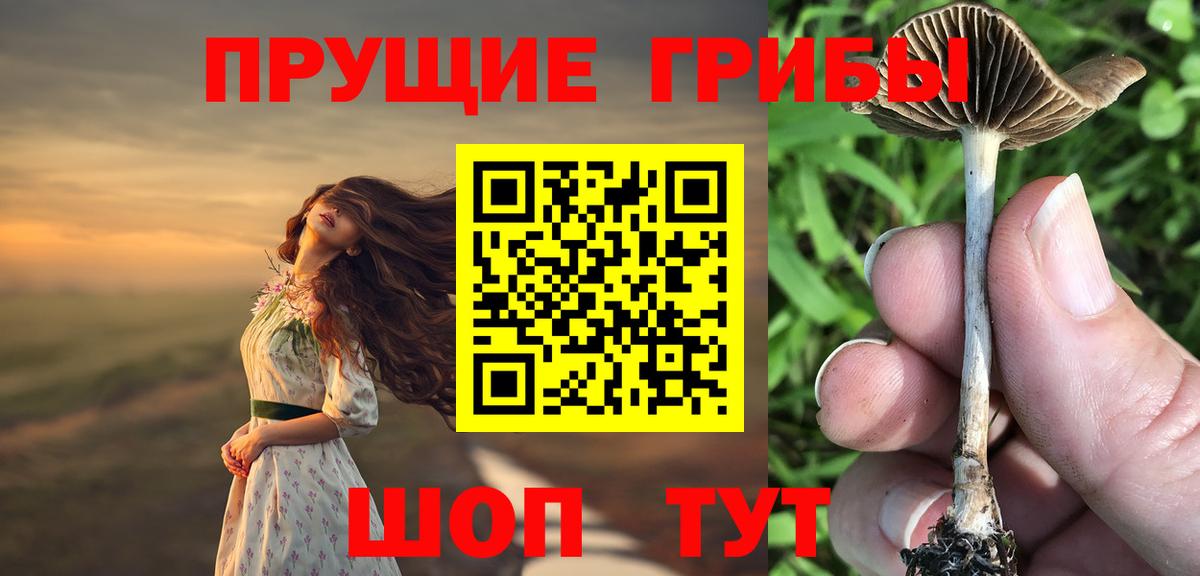 Галлюциногенные грибы GOLDEN TEACHER  Псилоцибиновые грибы MAGIC MUSHROOMS  Вход с VPN  Крымск 